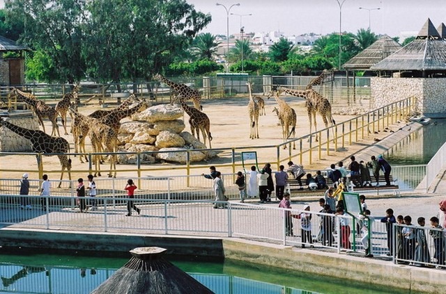حديقة حيوان الدوحة هي واحدة من أشهر مناطق الجذب السياحي في قطر