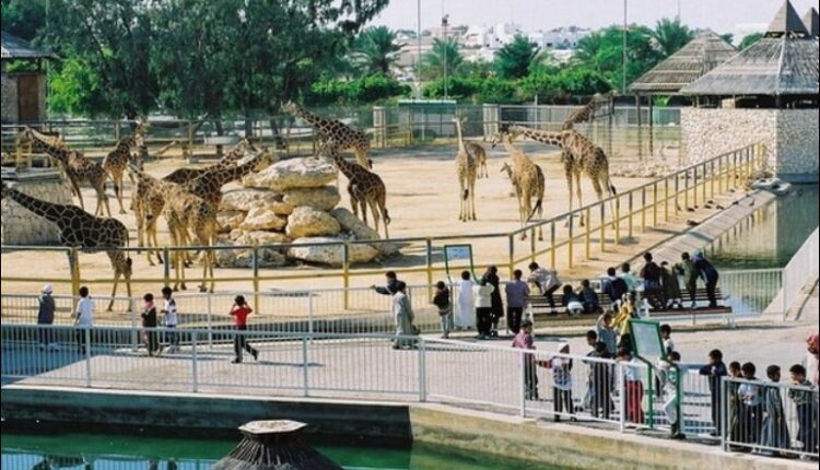 حديقة حيوان الدوحة من أروع الأماكن السياحية في قطر للأطفال

