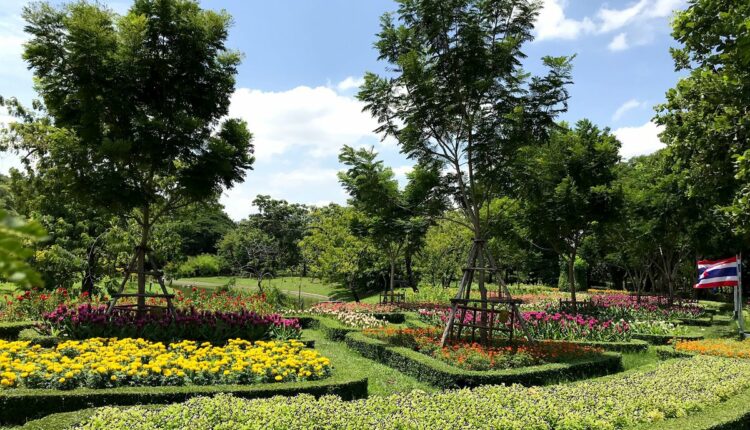 حديقة الملكة سيريكيت بارك من الحدائق في بانكوك