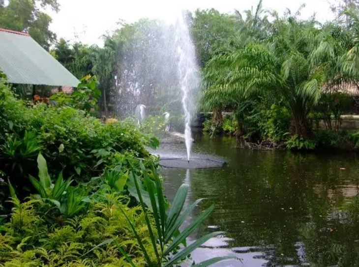 حديقة المجتمع بوكيت من أشهر الأسماء من بين حدائق بوكيت