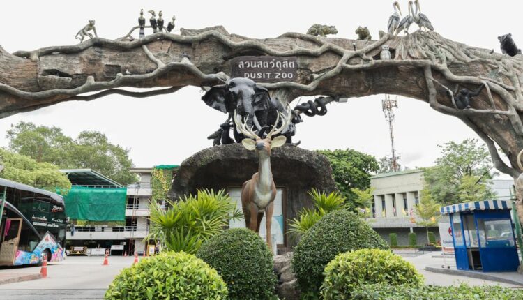 حديقة حيوان دوسيت من اماكن سياحية في بانكوك للاطفال الشهيرة