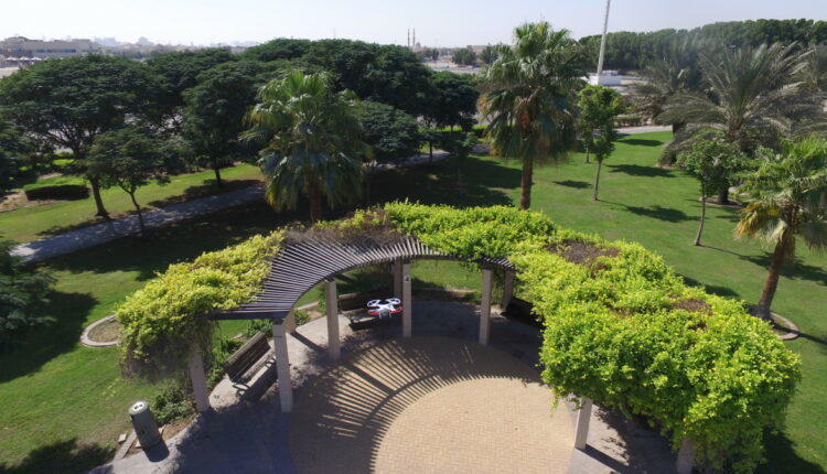 حديقة بحيرة البرشاء دبي أحد الأسماء المهمة في مجموعتنا أماكن سياحية رخيصة في دبي

