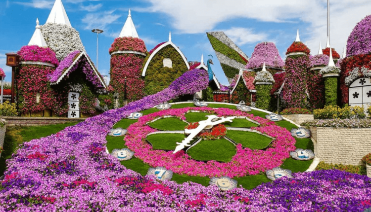 حديقة الزهور دبي من أفضل أماكن رخيصة في دبي
