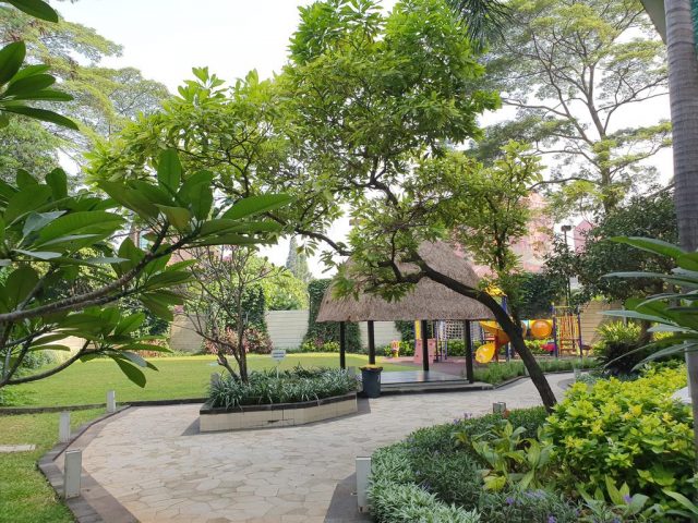 حديقة غابة تيبيت جاكرتا هي حديقة في جاكرتا