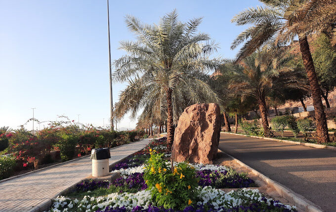 حديقة الأمير محمد بن عبد العزيز من أفضل حدائق بالمدينة المنورة