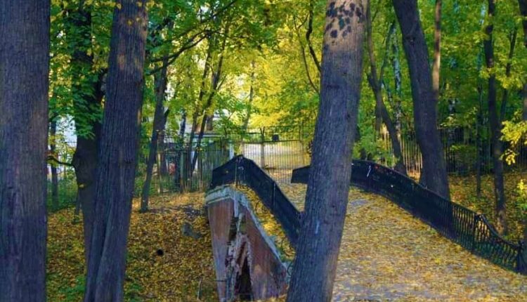 حديقة نيسكوشني موسكو
