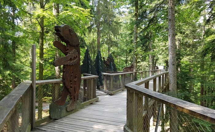 غابة بافاريا الوطنية ميونخ من أقدم حدائق ميونخ
