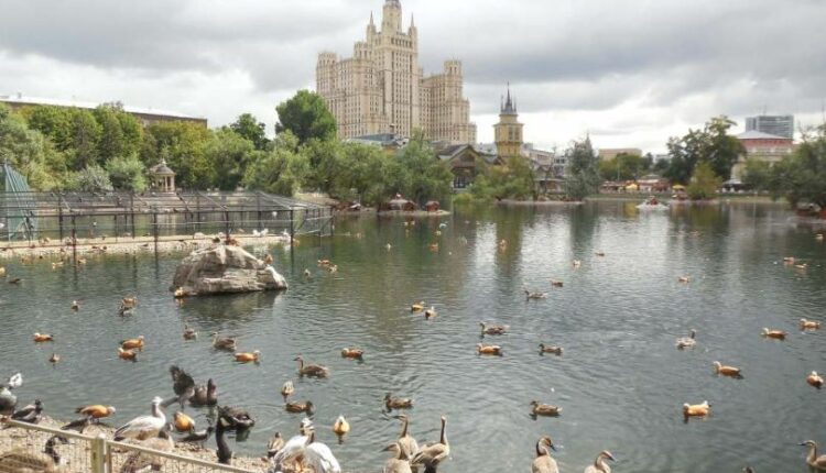 حديقة حيوان موسكو من عوامل السياحة في موسكو