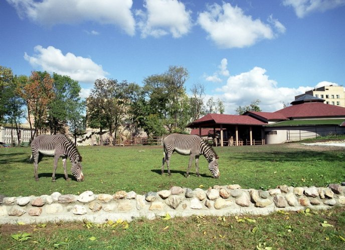 حديقة حيوان موسكو من أفضل أماكن السياحة في موسكو المسافرون العرب.