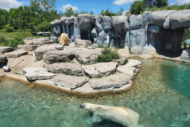 حديقة حيوان تورنتو