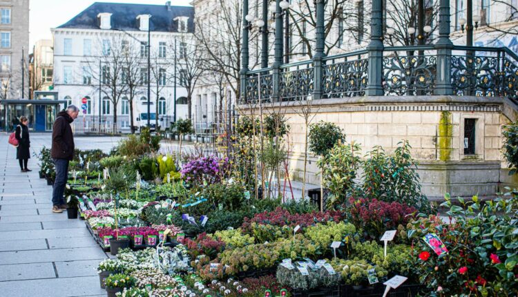 يُعد سوق الزهور غنت من أفضل و أشهر أسواق بلجيكا
